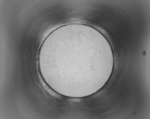 X0000115101431200912081248