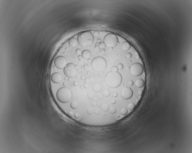 X0000115101432200912081248