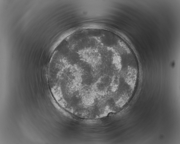 X0000115101433200912081248