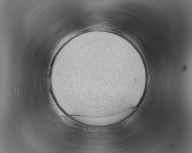 X0000115101434200912081248