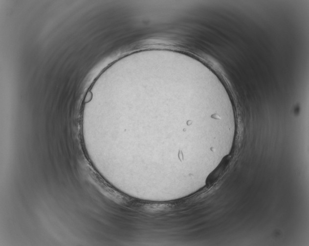 X0000115101435200912081248