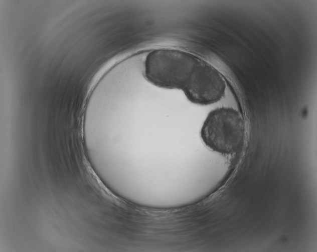 X0000115101436200912081248