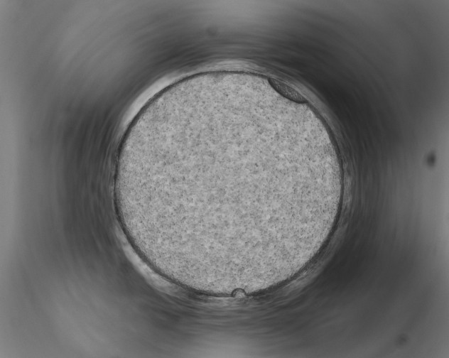 X0000115101438200912081248