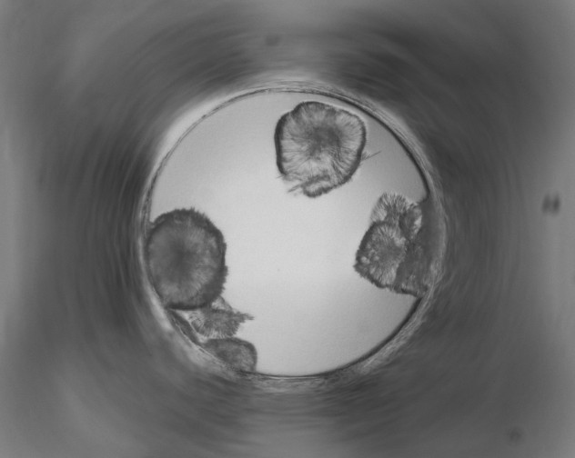 X0000115101440200912081248