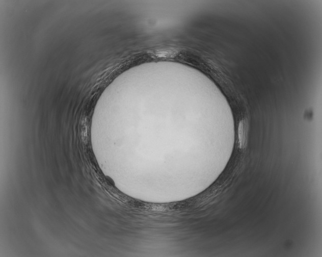 X0000115101443200912081247