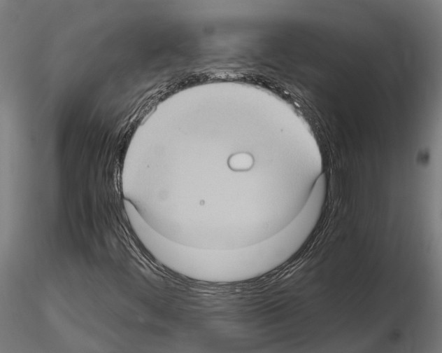 X0000115101444200912081247