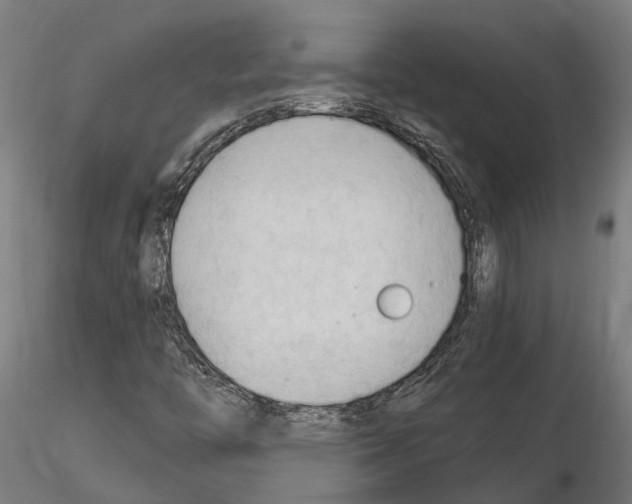 X0000115101446200912081247