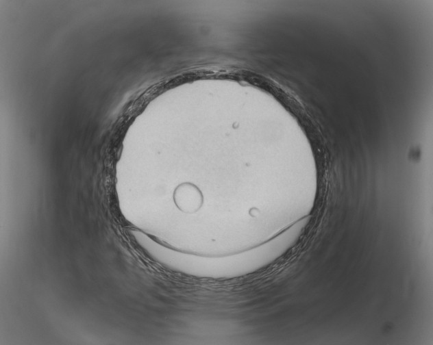 X0000115101447200912081247