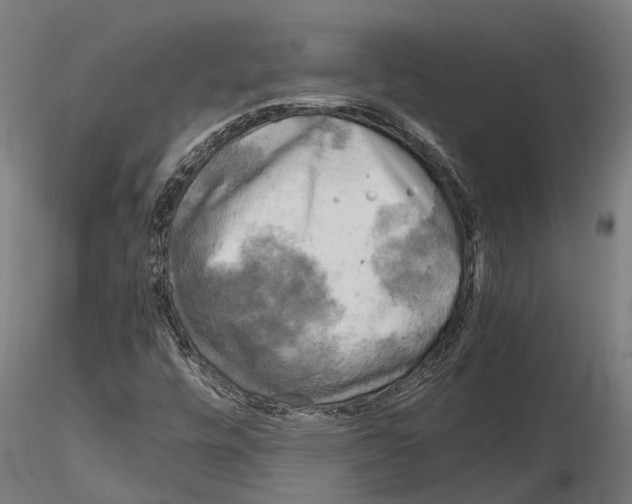 X0000115101448200912081247