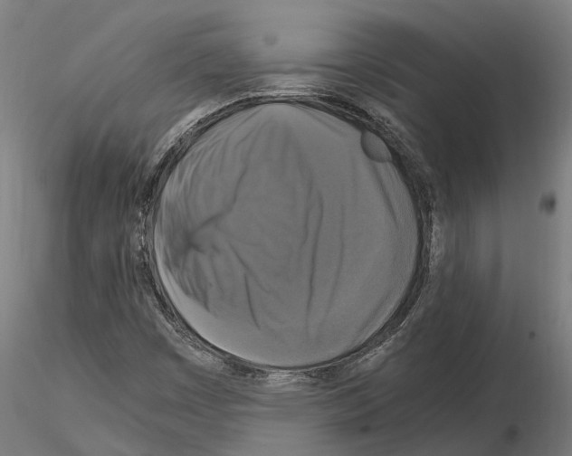 X0000115101449200912081247