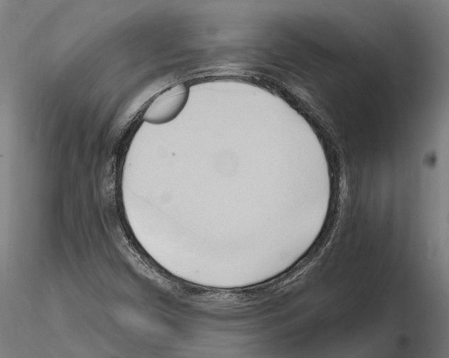 X0000115101450200912081247