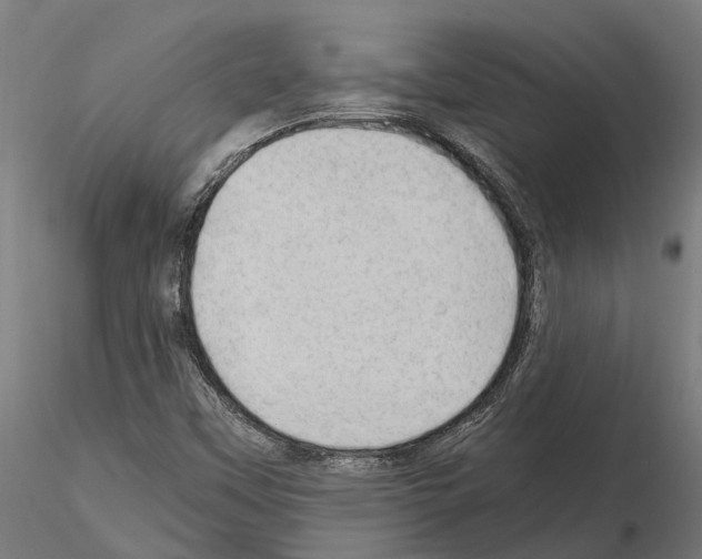 X0000115101451200912081247