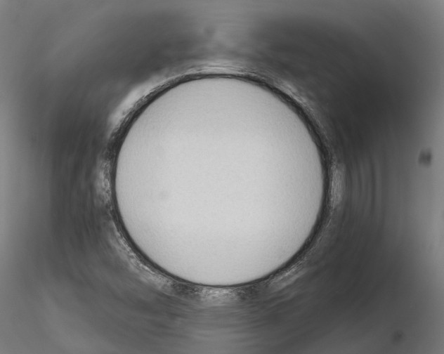 X0000115101454200912081247