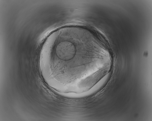 X0000115101455200912081247