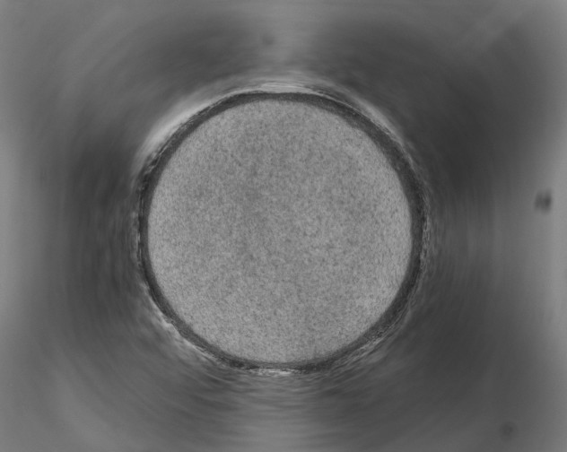 X0000115101456200912081247