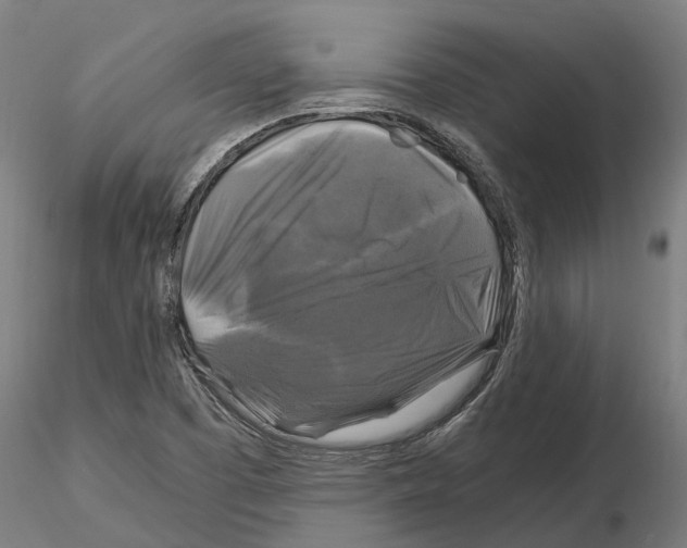 X0000115101457200912081247