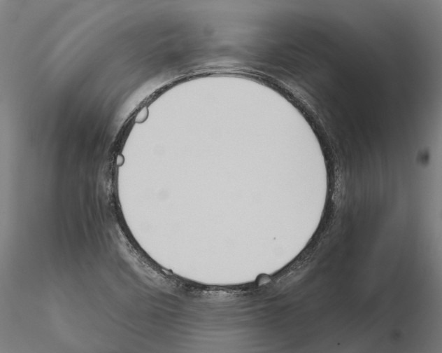 X0000115101458200912081247