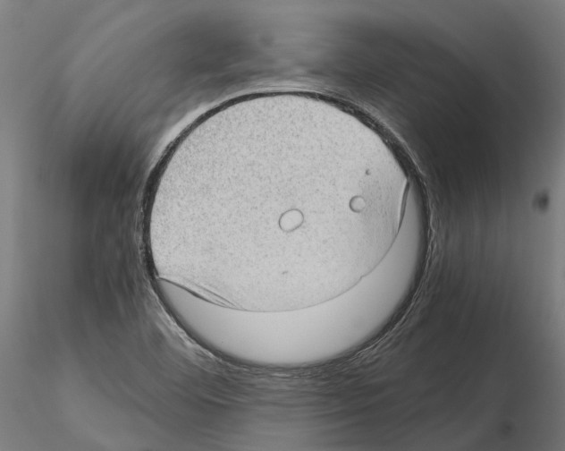 X0000115101460200912081247