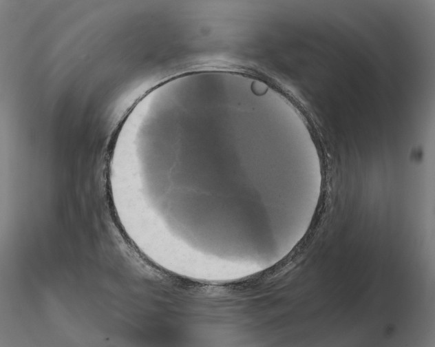 X0000115101463200912081247