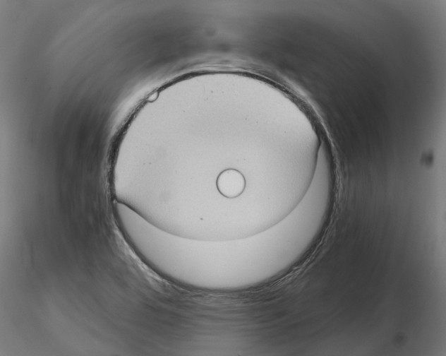 X0000115101464200912081247