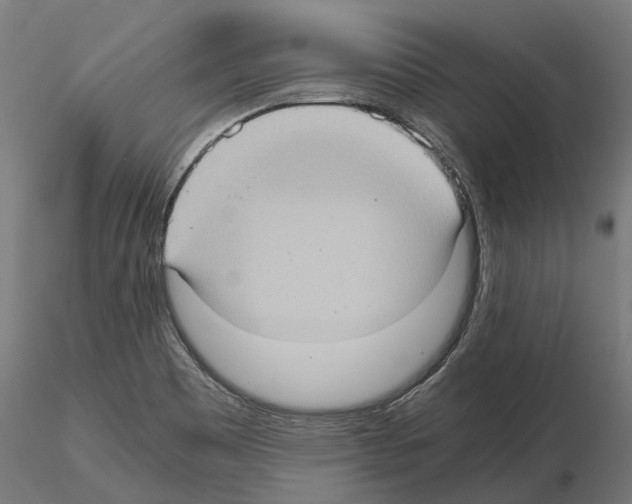 X0000115101465200912081247