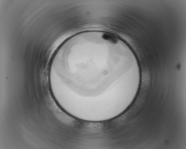 X0000115101466200912081247