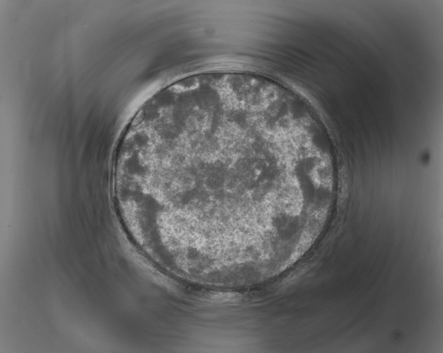 X0000115101467200912081247