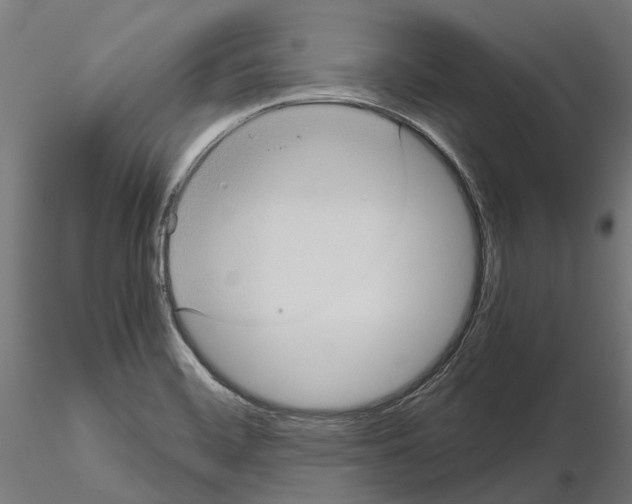 X0000115101468200912081247