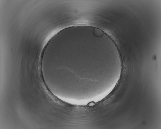 X0000115101469200912081247