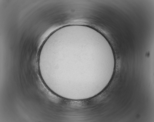 X0000115101470200912081247