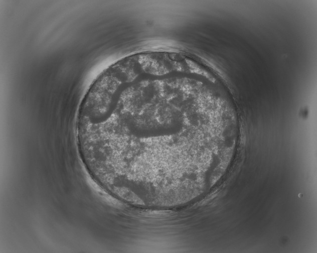 X0000115101471200912081247