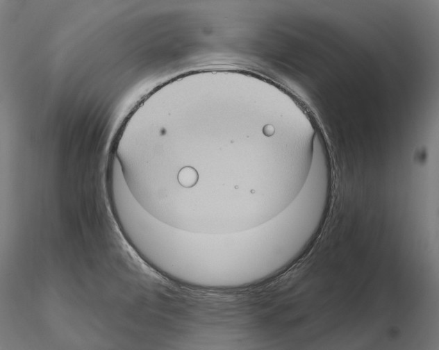 X0000115101472200912081247