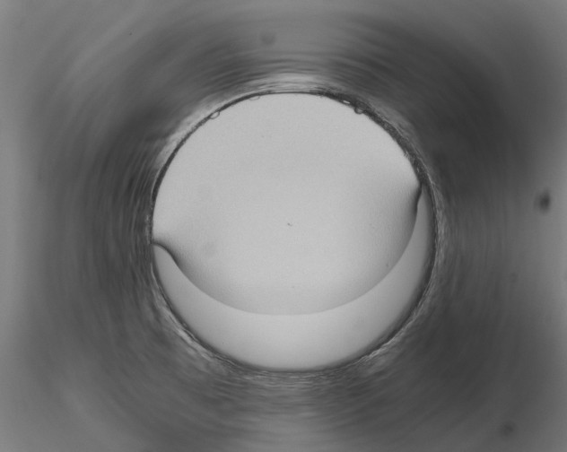 X0000115101473200912081247