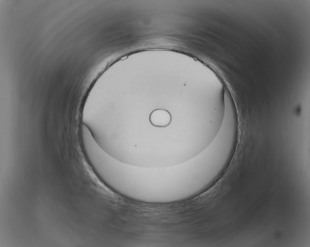 X0000115101477200912081247