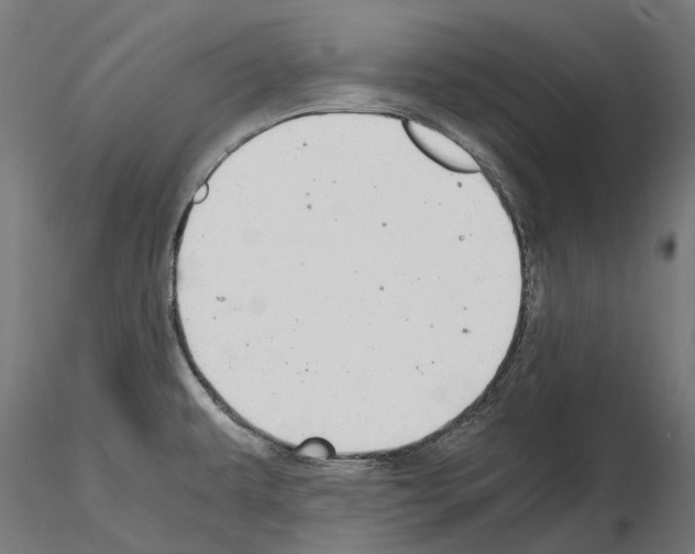 X0000115101479200912081247