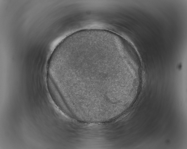 X0000115101480200912081247