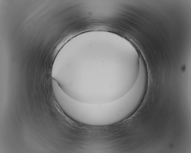 X0000115101481200912081247