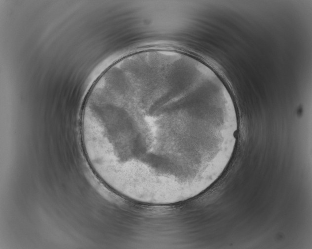 X0000115101482200912081247