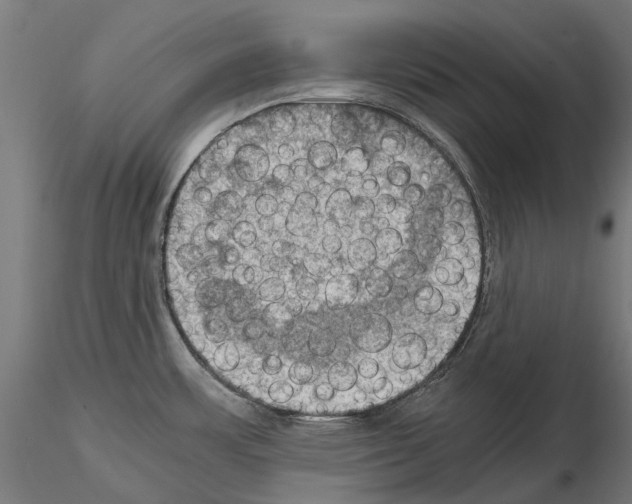 X0000115101483200912081247