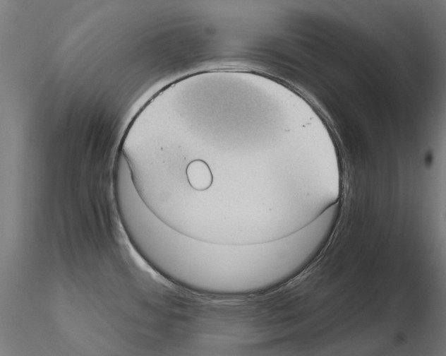 X0000115101484200912081247