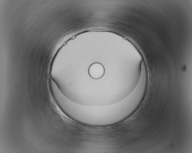 X0000115101485200912081247