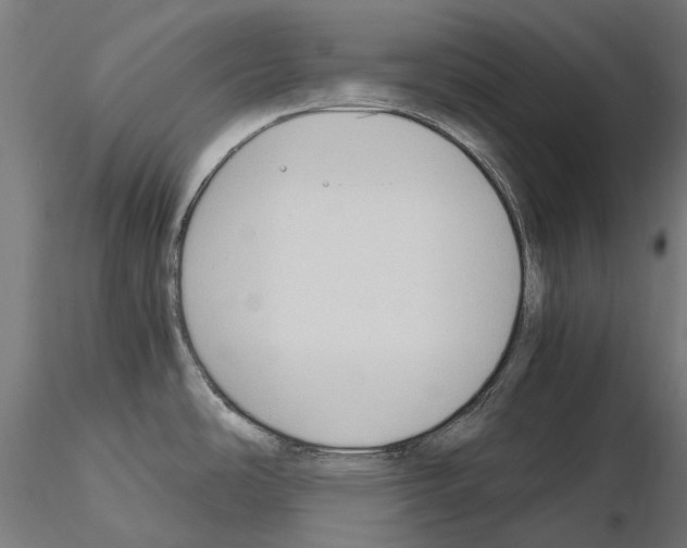 X0000115101486200912081247