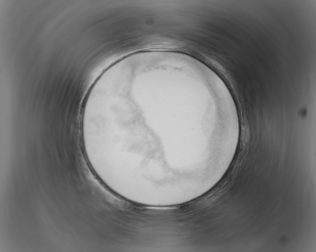 X0000115101487200912081247