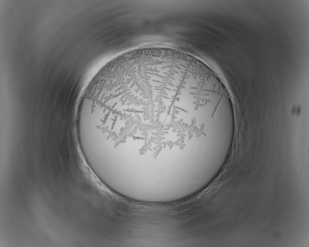 X0000115101488200912081247