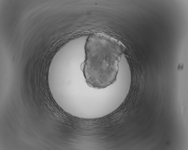 X0000115101489200912081246