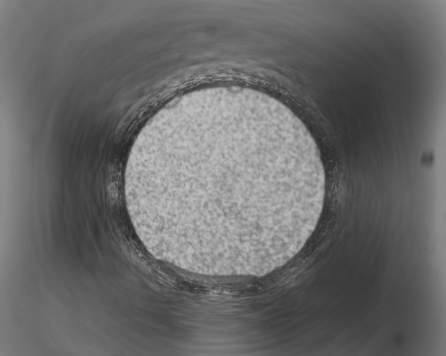 X0000115101490200912081246