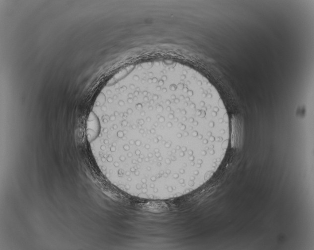 X0000115101491200912081246