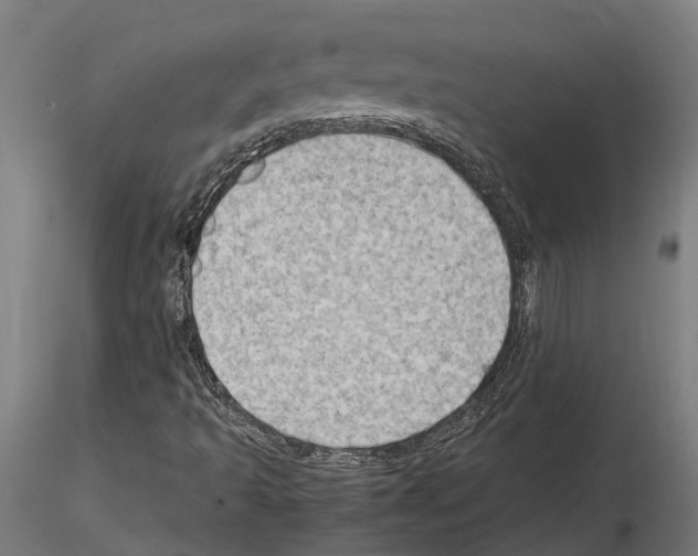 X0000115101493200912081246