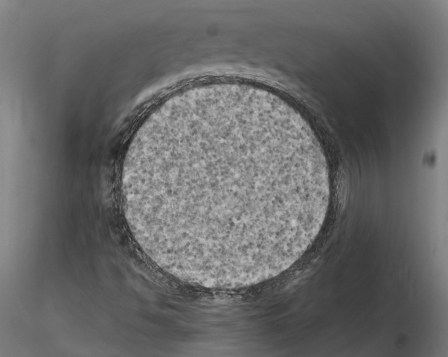 X0000115101494200912081246