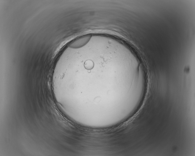 X0000115101497200912081246